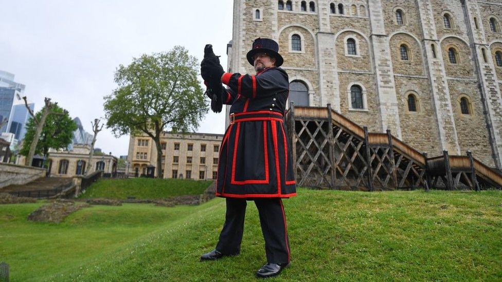 Ravenskeeper in front of the Tower of London