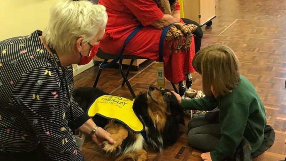 Duke the dog in a school