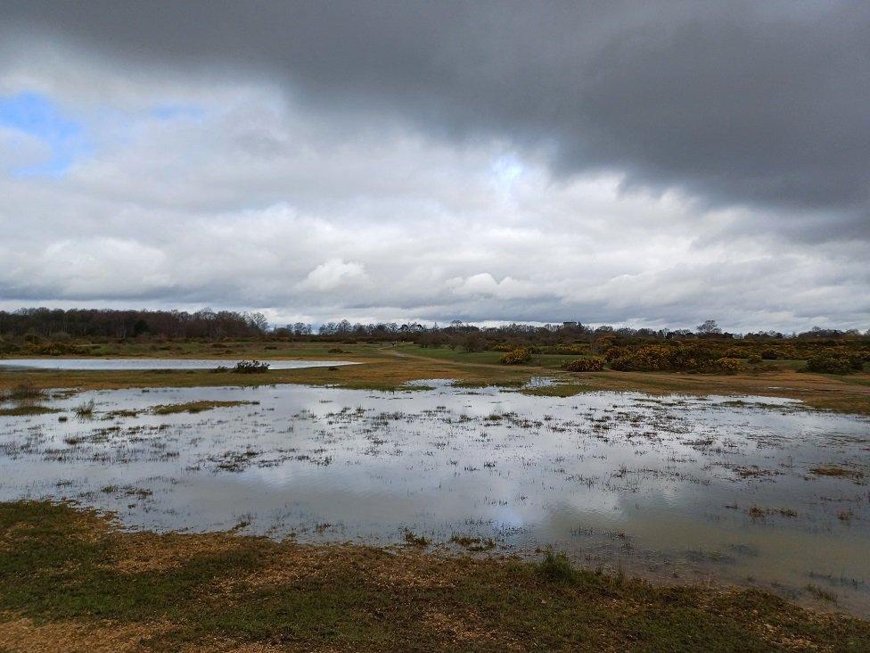 WEDNESDAY - Greenham Common today.