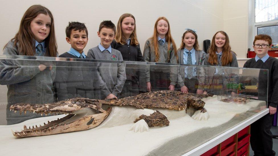 children looking a crocodile remains