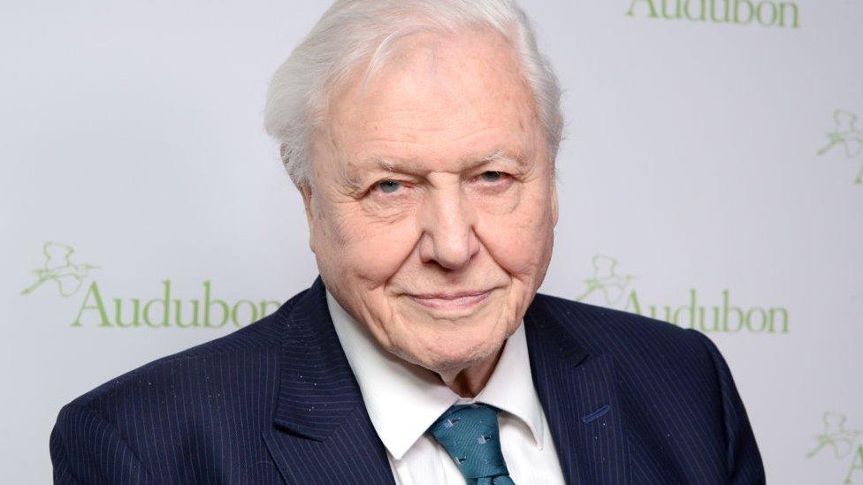 david-attenborough.