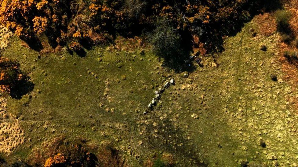 A stretch of land with stones lined across it.