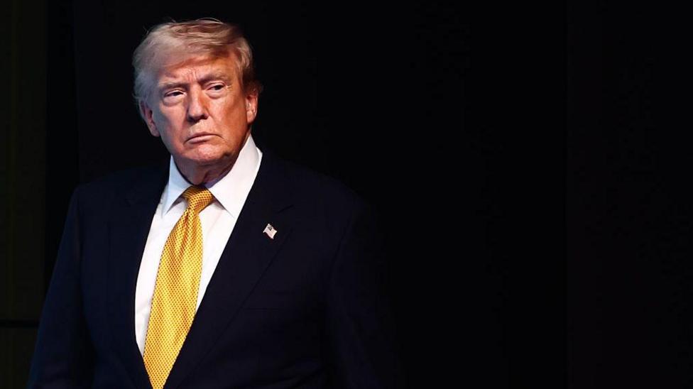 Trump Reverses Plan for 20% Hormuz Shipping Fee, Proposes Investment Deals