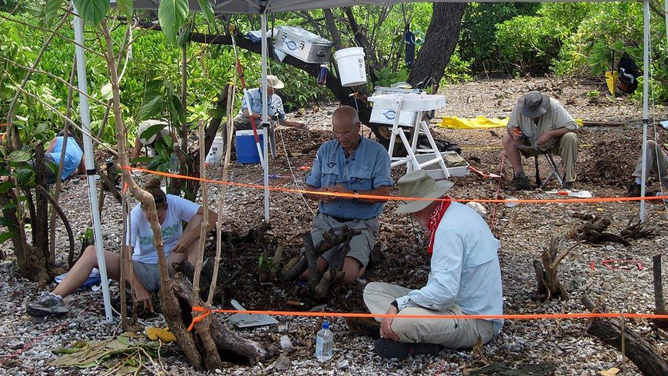 Ric Gillespie and his team excavating on Nikumaroro, where they believe Earhart's plane came down