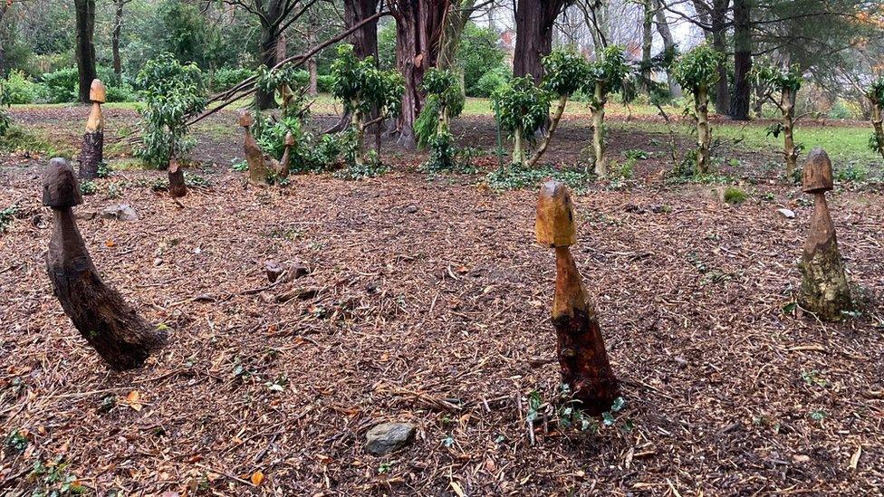 Mushroom carvings at Cwmdonkin Park