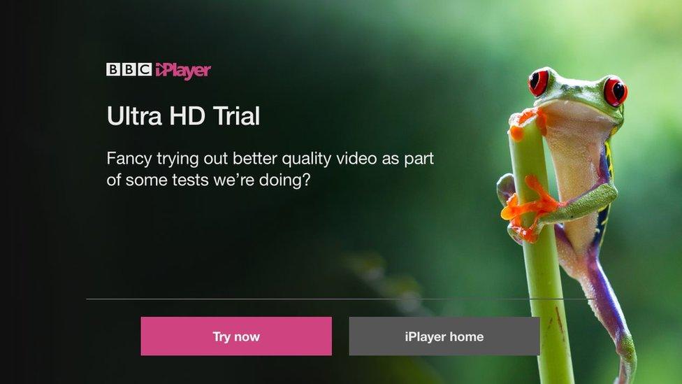 iPlayer trial