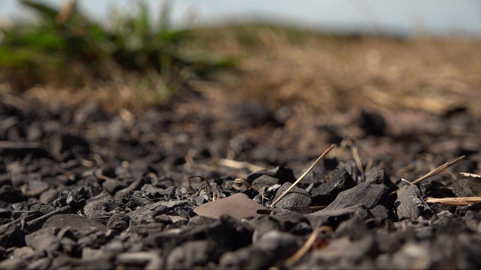 Burnt remains on the Pembrokeshire coast