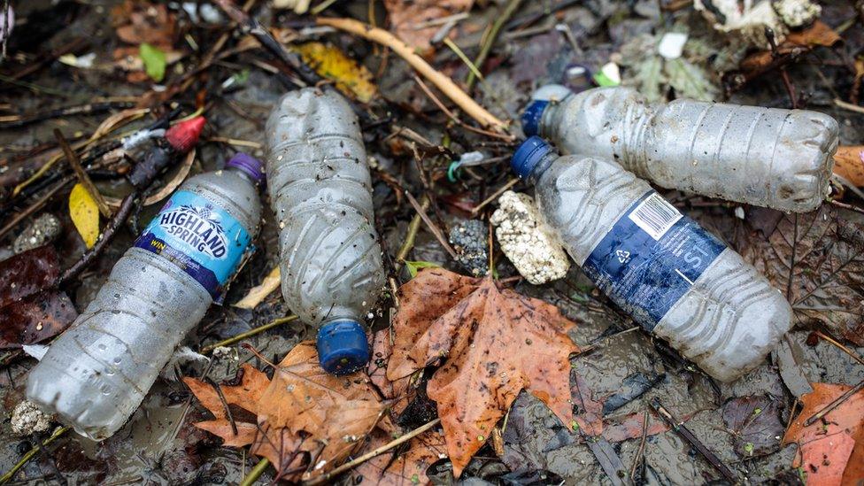 Plastic bottles littered on a ground