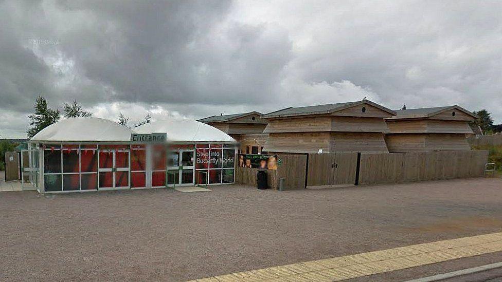 Butterfly World when it was open, showing wooden structures, like giant beehives, an entrance and a sign that says Step Into Butterfly World