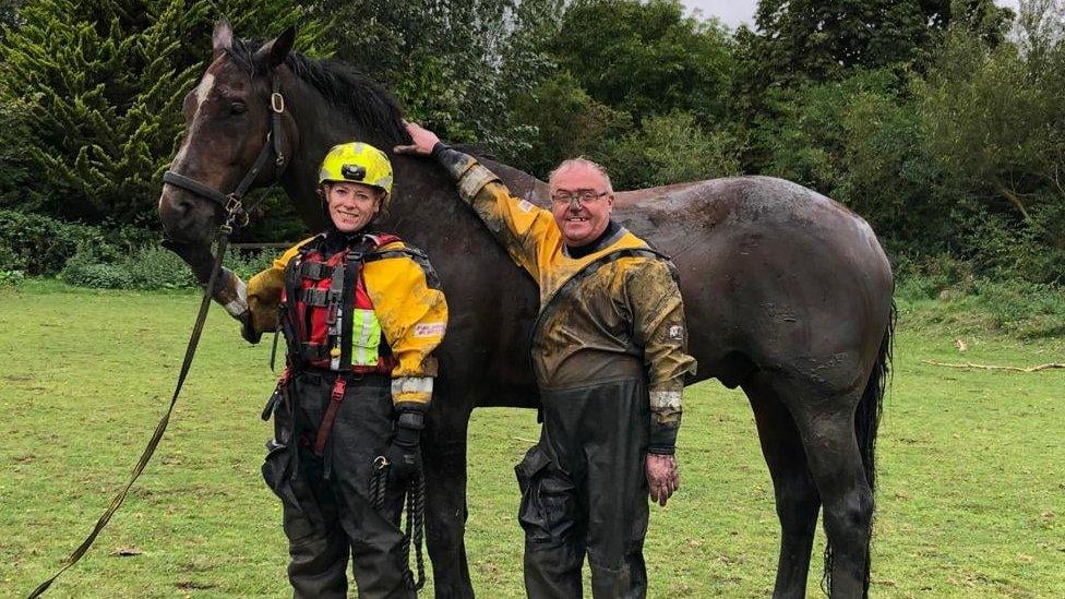 Fire crews with the horse after the rescue