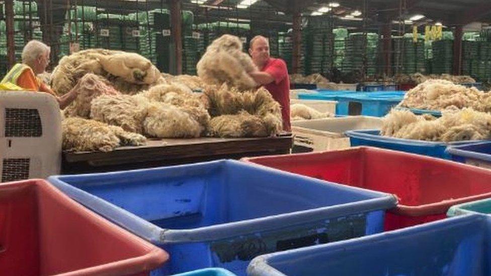 Two men sorting wool in a warehouse