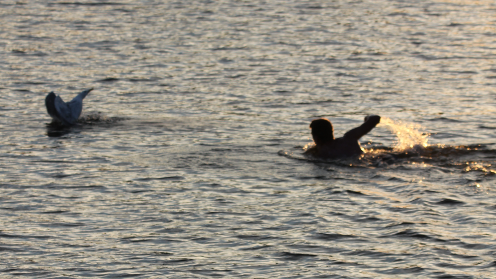 Man swims out to rescue seagull