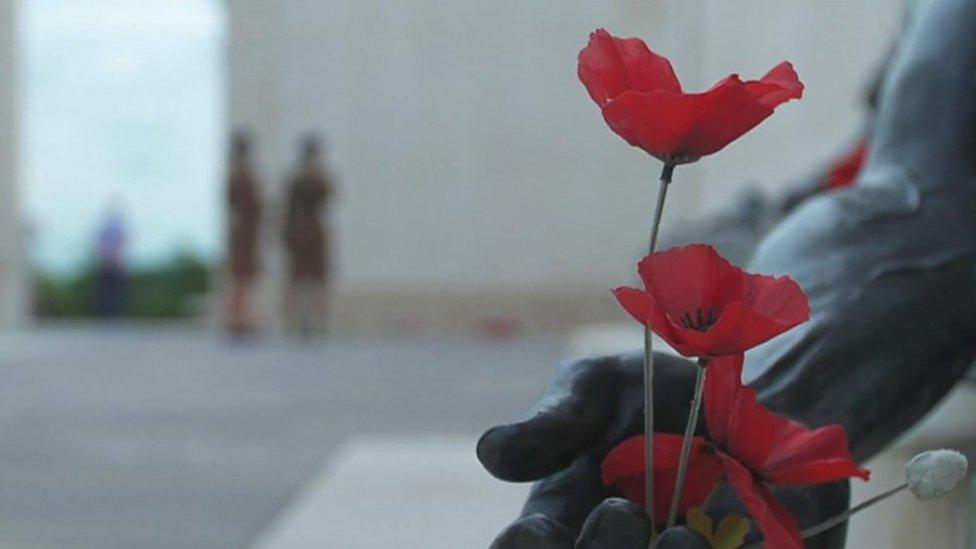 Poppies at National Memorial Arboretum