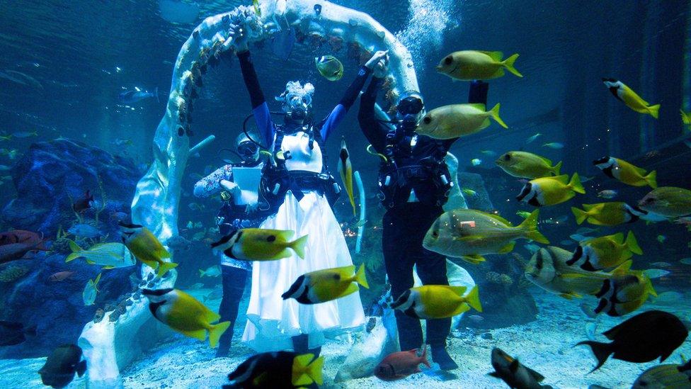 Underwater wedding