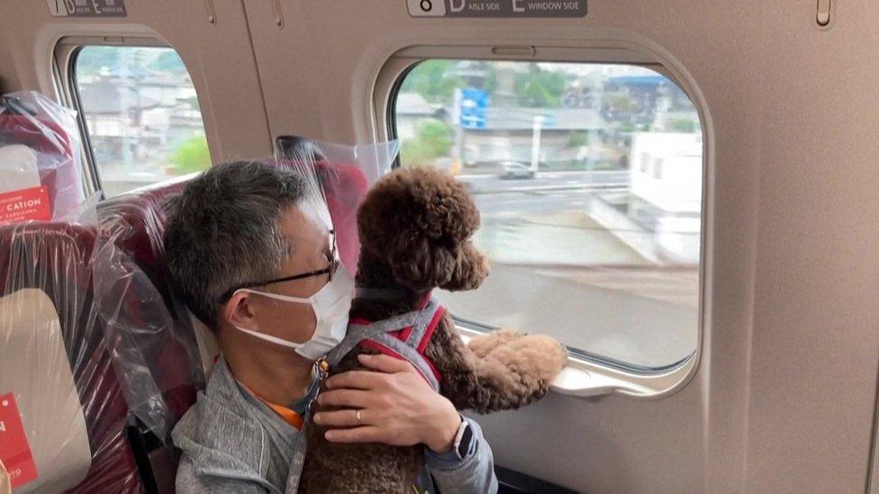 A brown dog looking out the window with its owner