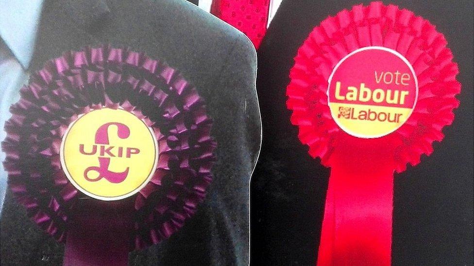 UKIP and Labour rosettes