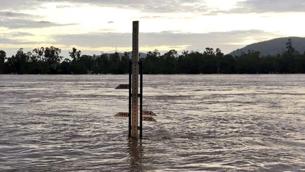 The Fitzroy River at Rockhampton was at 8.7m on Thursday morning