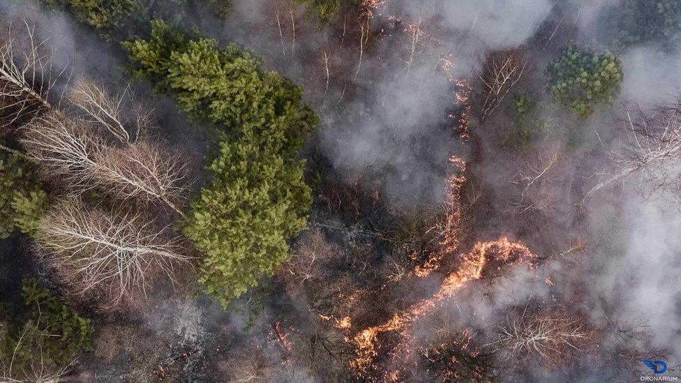 A fire burns in a forest in Ukraine