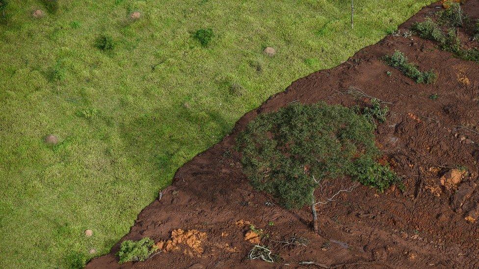 Aerial view taken after the collapse of a dam which belonged to Brazil's giant mining company Vale