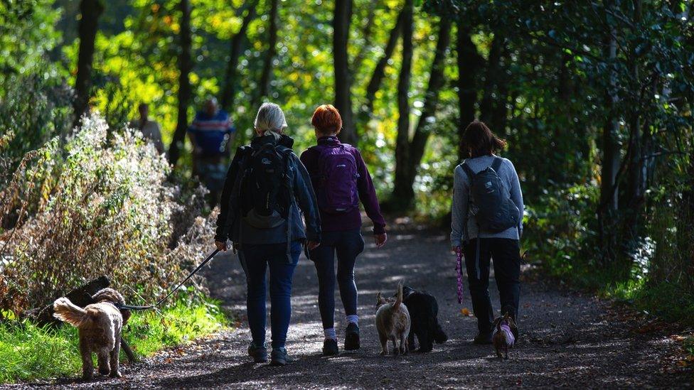 dog walkers