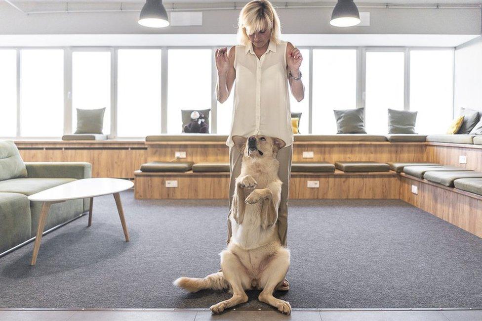 Dog trainer Marina Prokopenko and her dog Nika