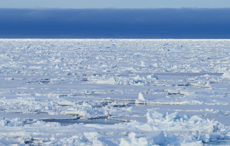 Weddell Sea