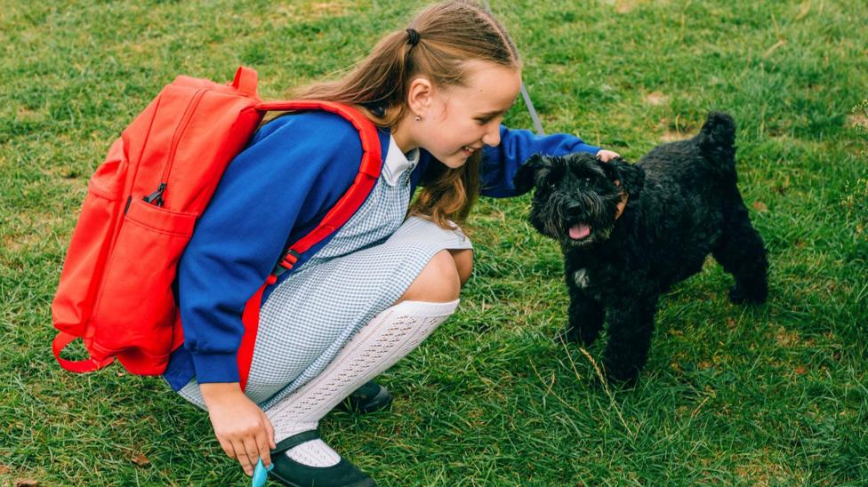 School pets: Tell us if you have a classroom dog, bird or hamster - BBC ...