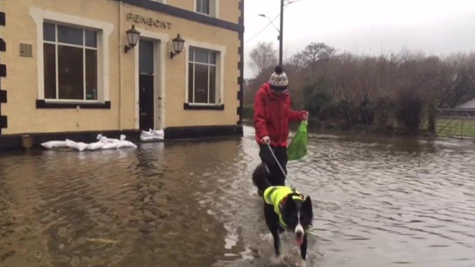 A dog walker braves the rain and flood water in Llanrug, Caernarfon