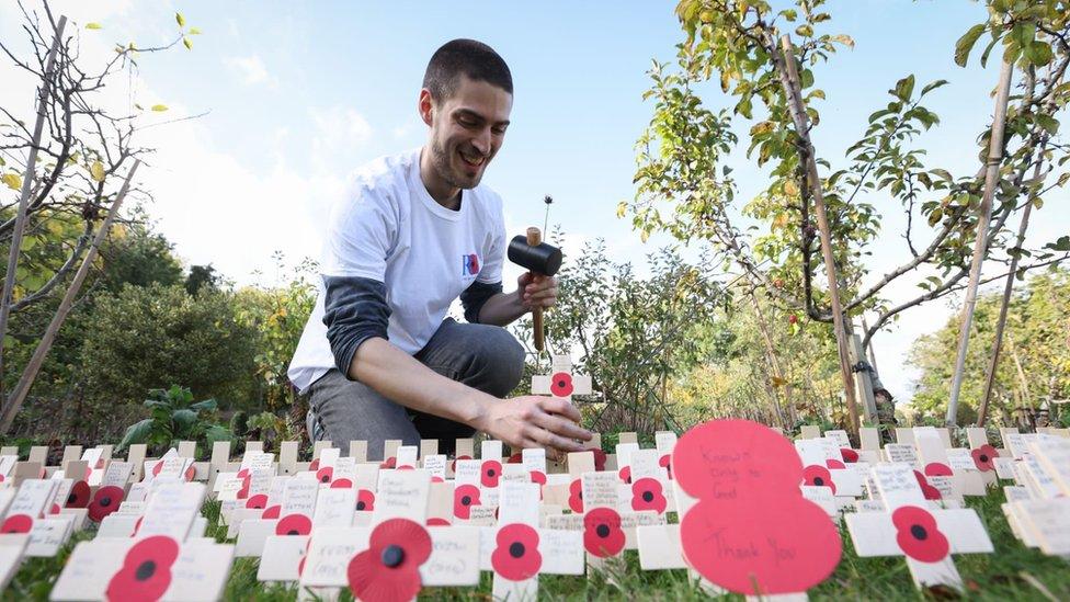 Remembrance Poppies