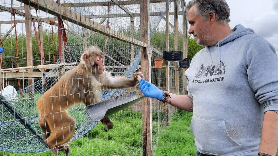 Macaque enclosure