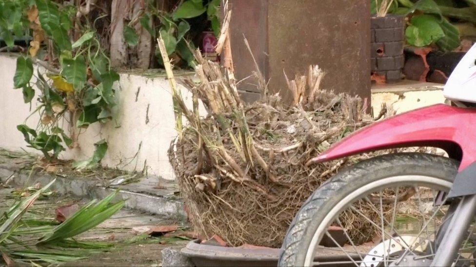 Shot of the remains of a plant pot that contained a bomb in Hua Hin. Nothing but some plant roots remains. 12 August 2016.