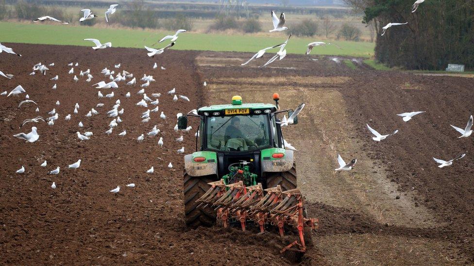 A tractor ploughing a field