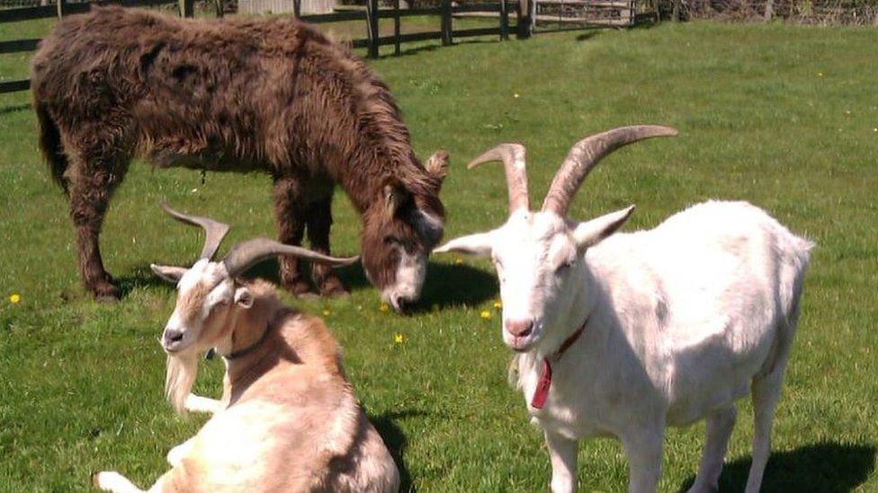 Harold with friends Billy and Maisie