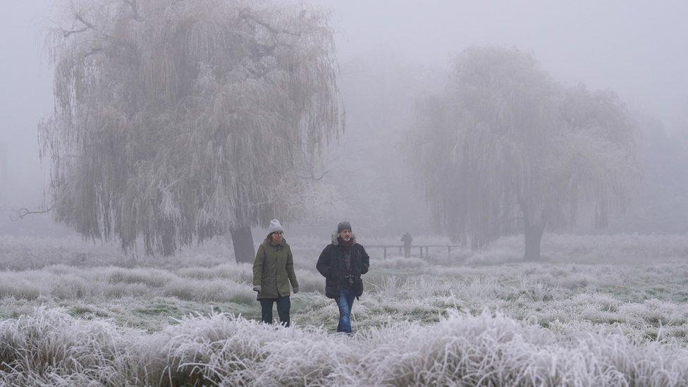 Two people walking through a park in icy conditions