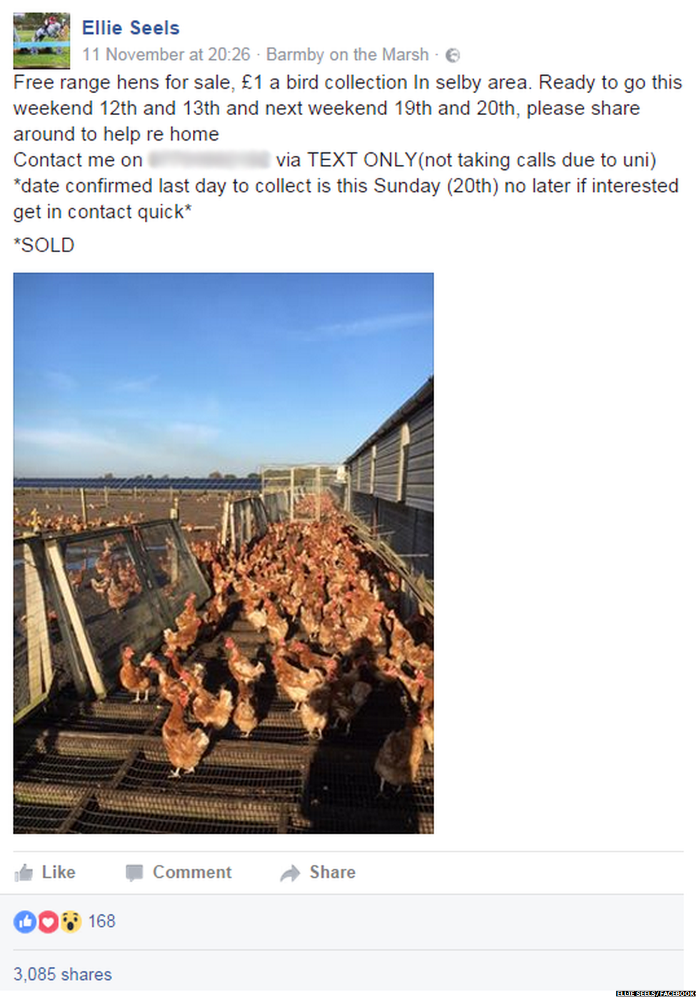 A screenshot of the original post advertising chickens