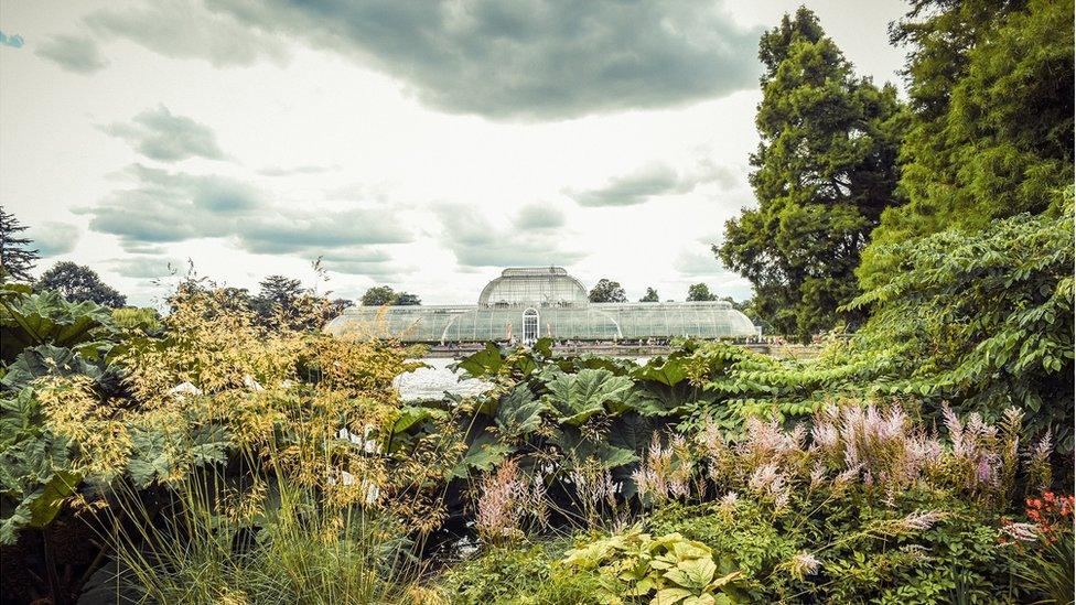 Kew Gardens