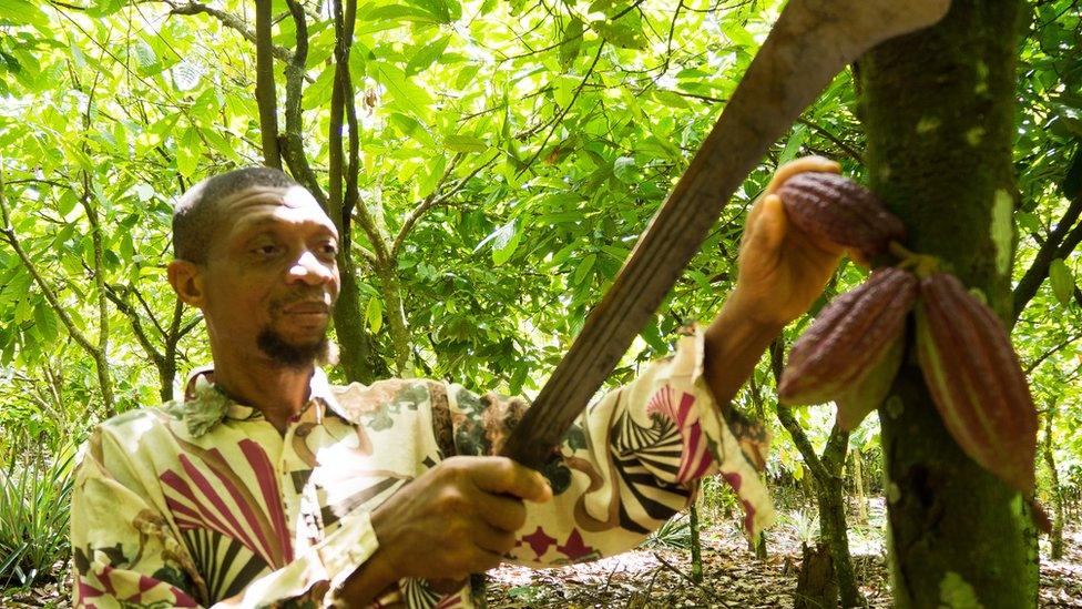 Adams Muhammed cocoa farmer