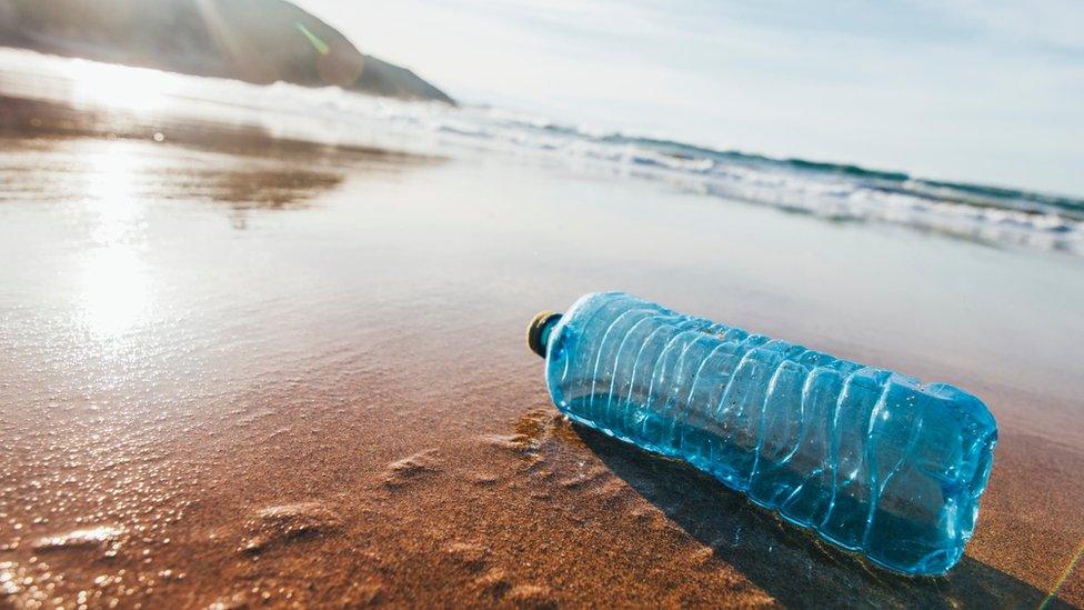 A single discarded plastic water bottle on a sandy beach