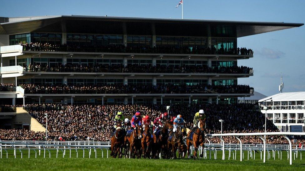 General shot of race at Cheltenham Festival