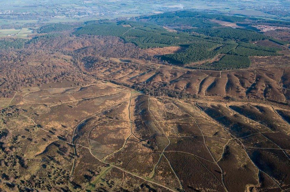 Aerial view of Cannock Chase