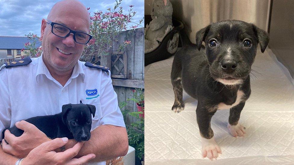 man holding puppy, puppy