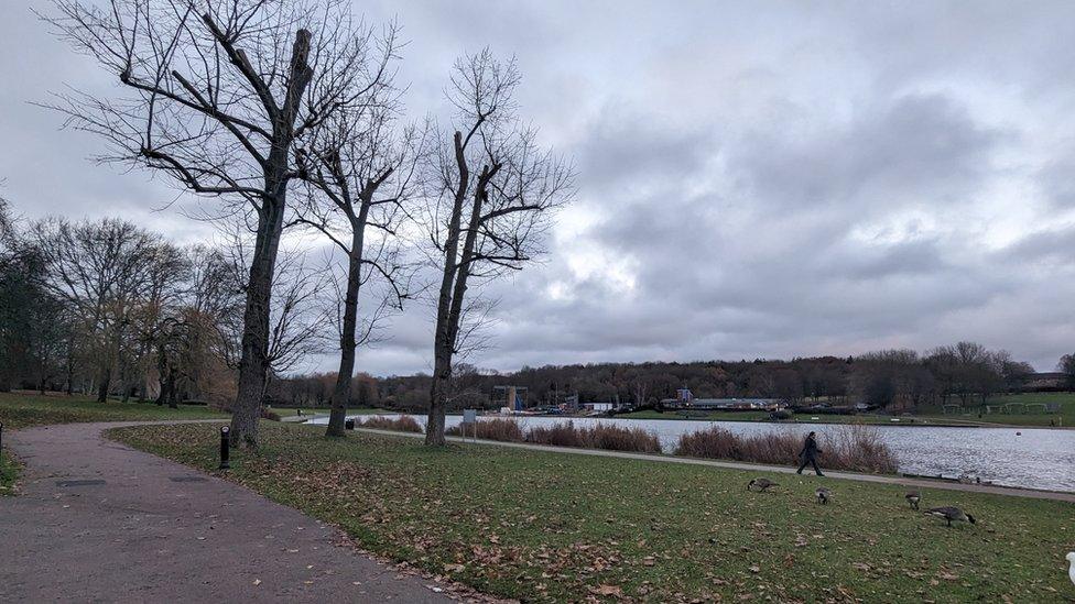 Fairlands Valley Park with a view of a lake