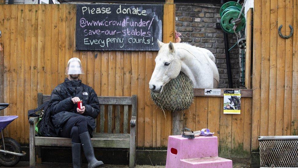 Park Lane Stables