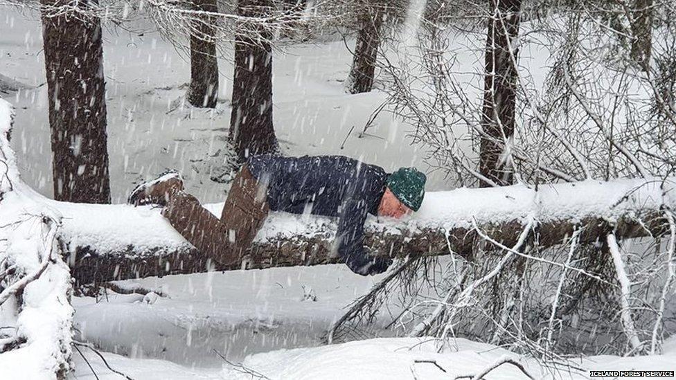 Man hugging a fallen tree