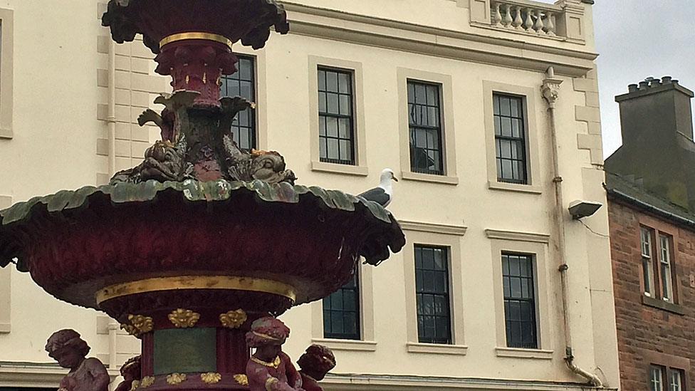 Seagull in the fountain