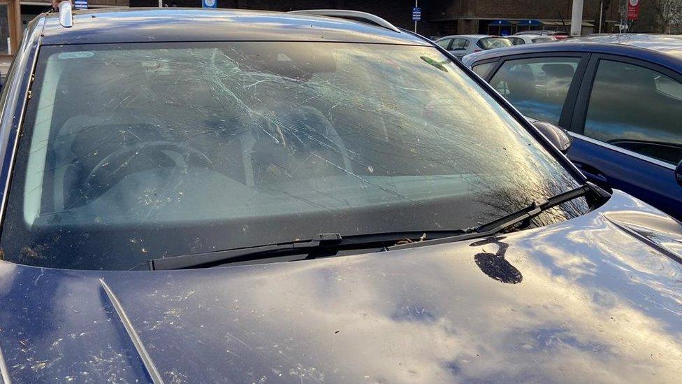 Car windscreen damaged by fallen tree