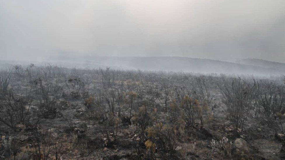 Ashes on Kilimanjaro