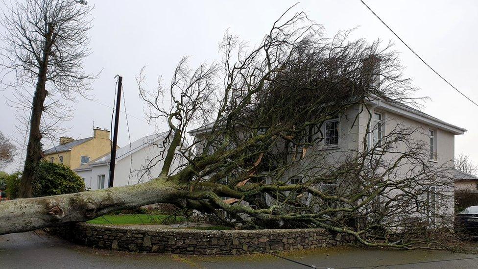 Cobh house