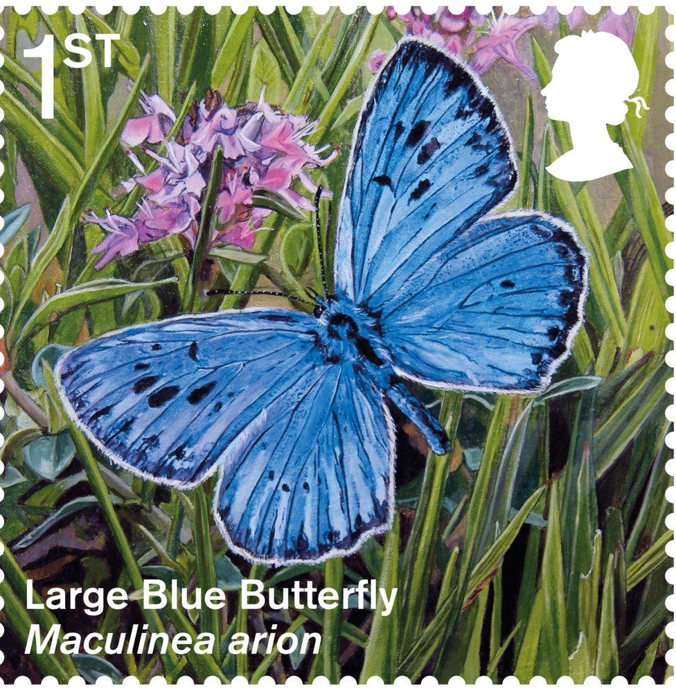 Large blue butterfly stamp