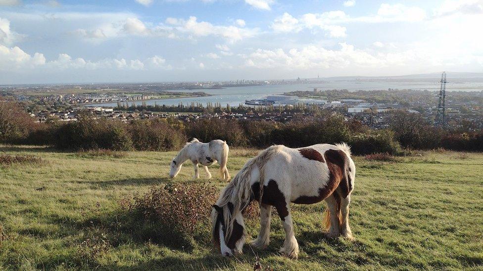 SATURDAY - Portsdown Hill